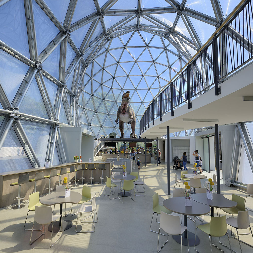 Blick auf die Theke und das Dinosauriermodell im Mitoseum Bautzen