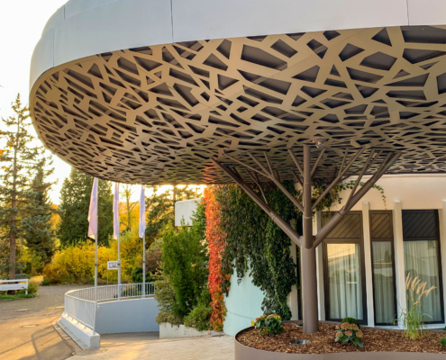 Das Baum-Vordach im Sonnenuntergang