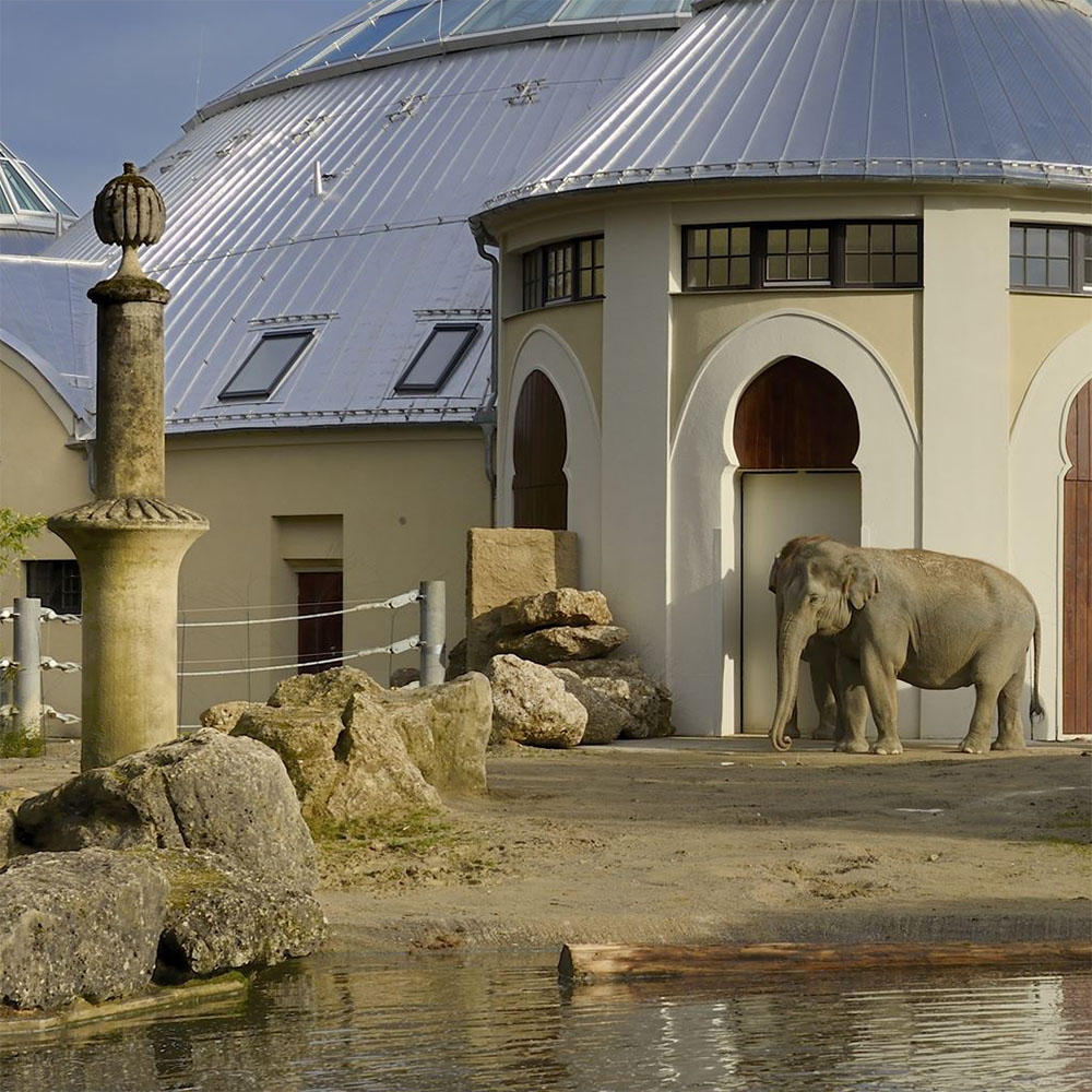 Die Kuppel des Elefantenhauses wurde im Bestand umgesetzt