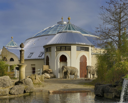 Die neue Kuppel des Elefantenhauses im Tierpark Hellabrunn