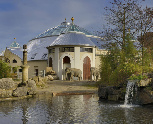 Elefanten vor dem neuen Elefantenhaus im Tierpark Hellabrunn