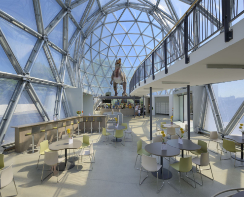 Innenraum des Mitoseum im Saurierpark in Bautzen